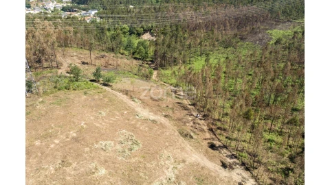Terreno para Venda em Caldas de São Jorge e Pigeiros