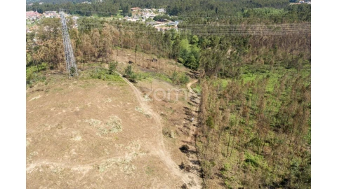 Terreno para Venda em Caldas de São Jorge e Pigeiros
