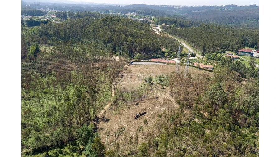 Terreno para Venda em Caldas de São Jorge e Pigeiros Foto 5