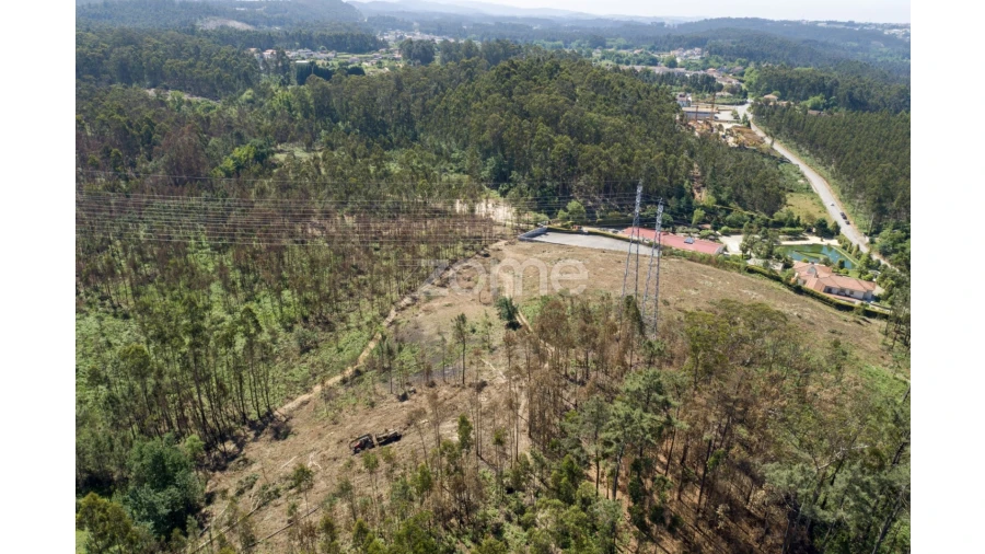 Terreno para Venda em Caldas de São Jorge e Pigeiros Foto 7