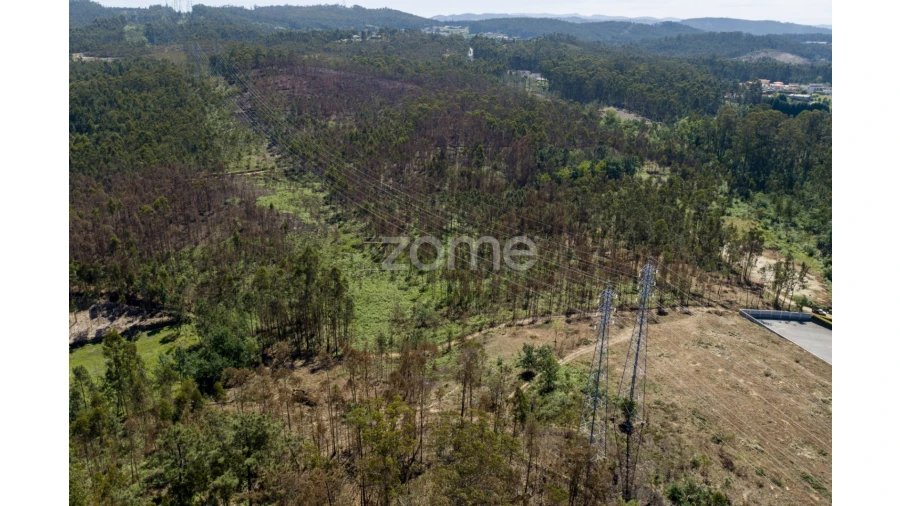 Terreno para Venda em Caldas de São Jorge e Pigeiros Foto 10