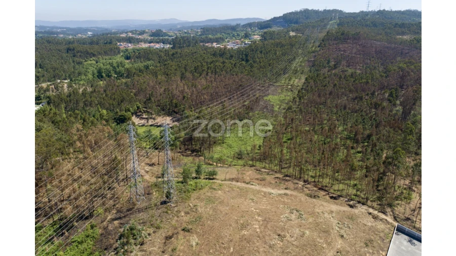 Terreno para Venda em Caldas de São Jorge e Pigeiros Foto 15