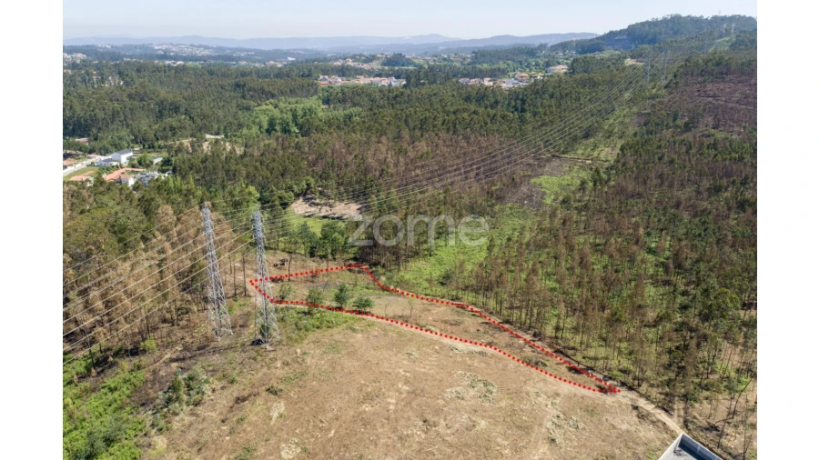 Terreno para Venda em Caldas de São Jorge e Pigeiros Foto 17