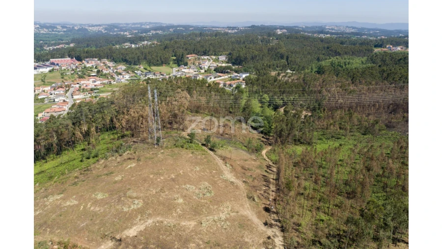 Terreno para Venda em Caldas de São Jorge e Pigeiros Foto 20