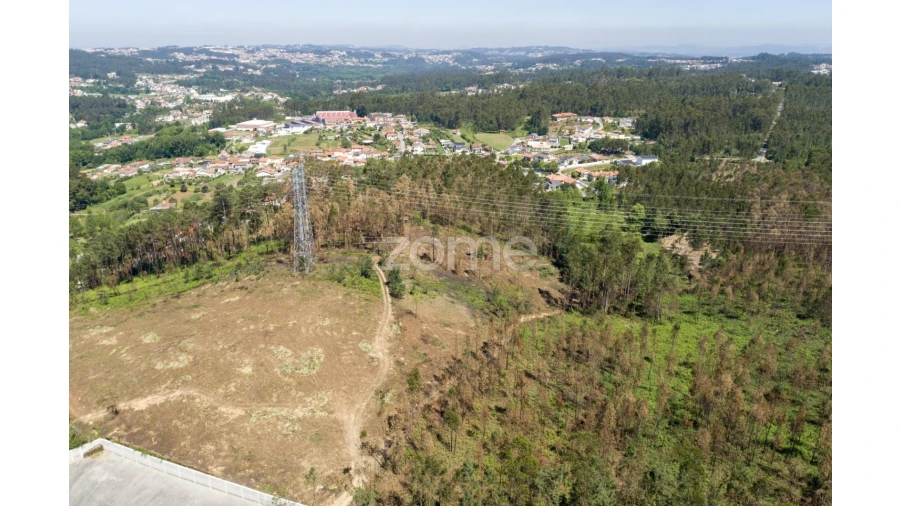Terreno para Venda em Caldas de São Jorge e Pigeiros Foto 23