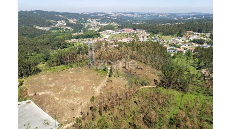 Terreno para Venda em Caldas de São Jorge e Pigeiros Foto 24
