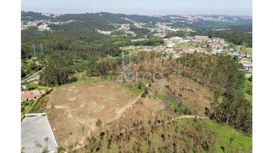 Terreno para Venda em Caldas de São Jorge e Pigeiros Foto 25