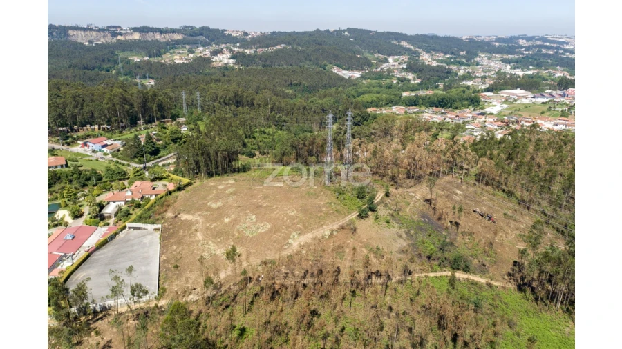 Terreno para Venda em Caldas de São Jorge e Pigeiros Foto 27