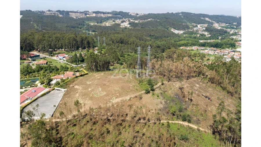 Terreno para Venda em Caldas de São Jorge e Pigeiros Foto 26
