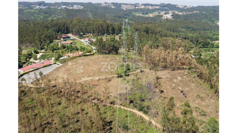 Terreno para Venda em Caldas de São Jorge e Pigeiros Foto 29
