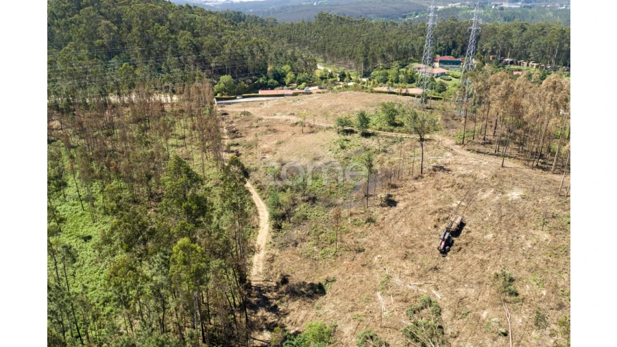 Terreno para Venda em Caldas de São Jorge e Pigeiros Foto 31