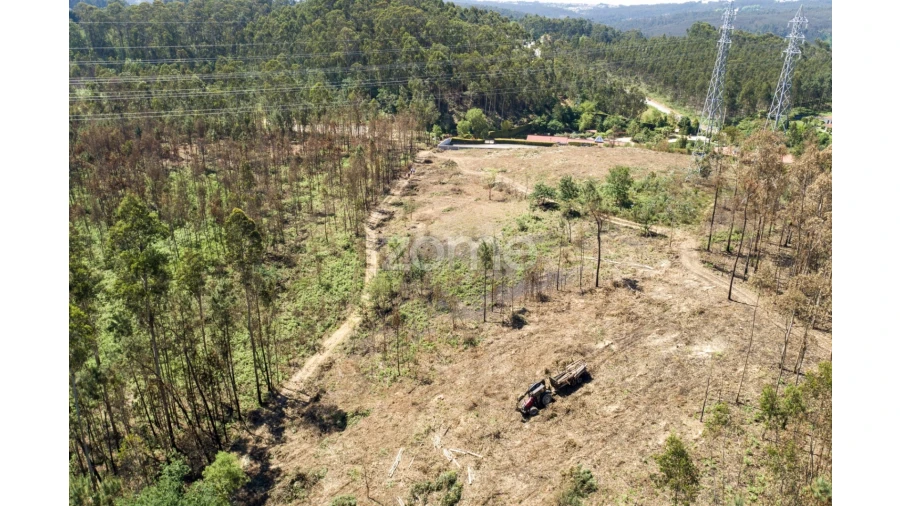 Terreno para Venda em Caldas de São Jorge e Pigeiros Foto 32