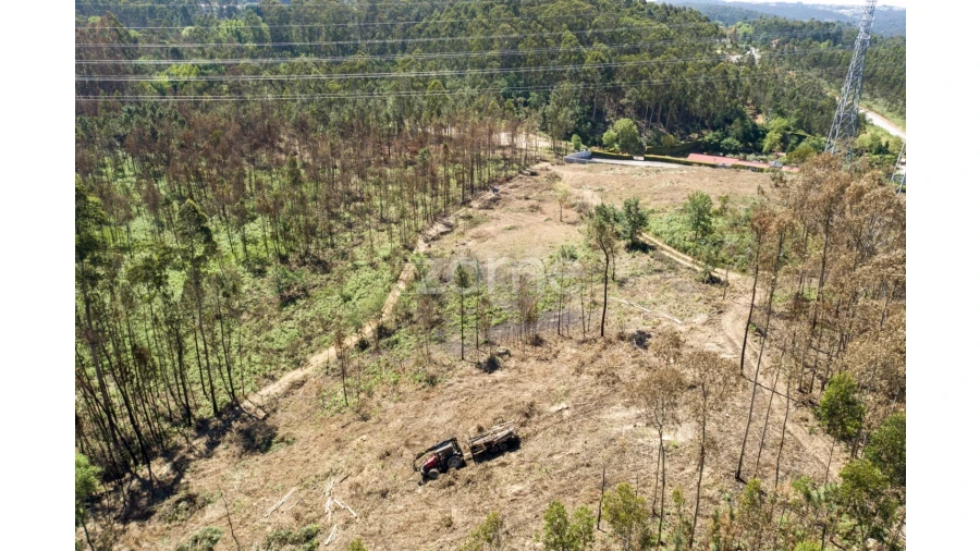 Terreno para Venda em Caldas de São Jorge e Pigeiros
