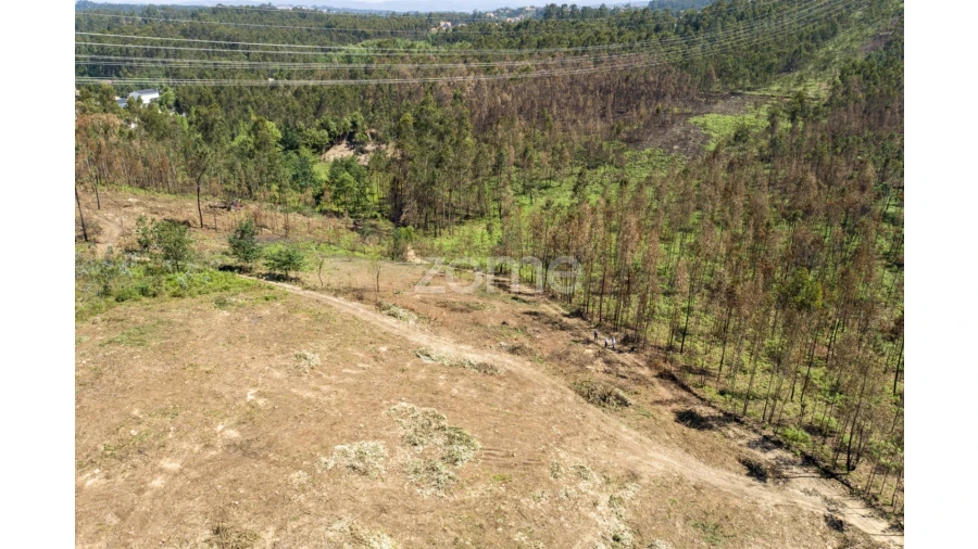 Terreno para Venda em Caldas de São Jorge e Pigeiros Foto 33