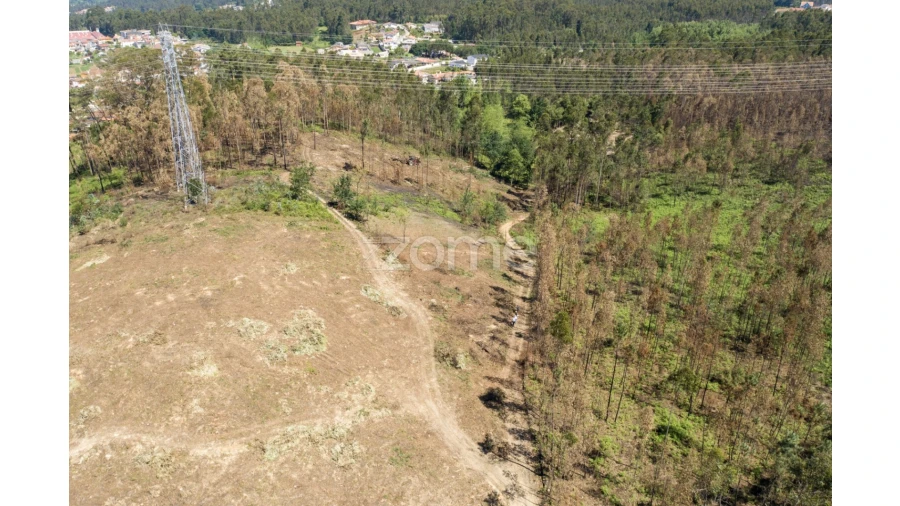 Terreno para Venda em Caldas de São Jorge e Pigeiros Foto 35