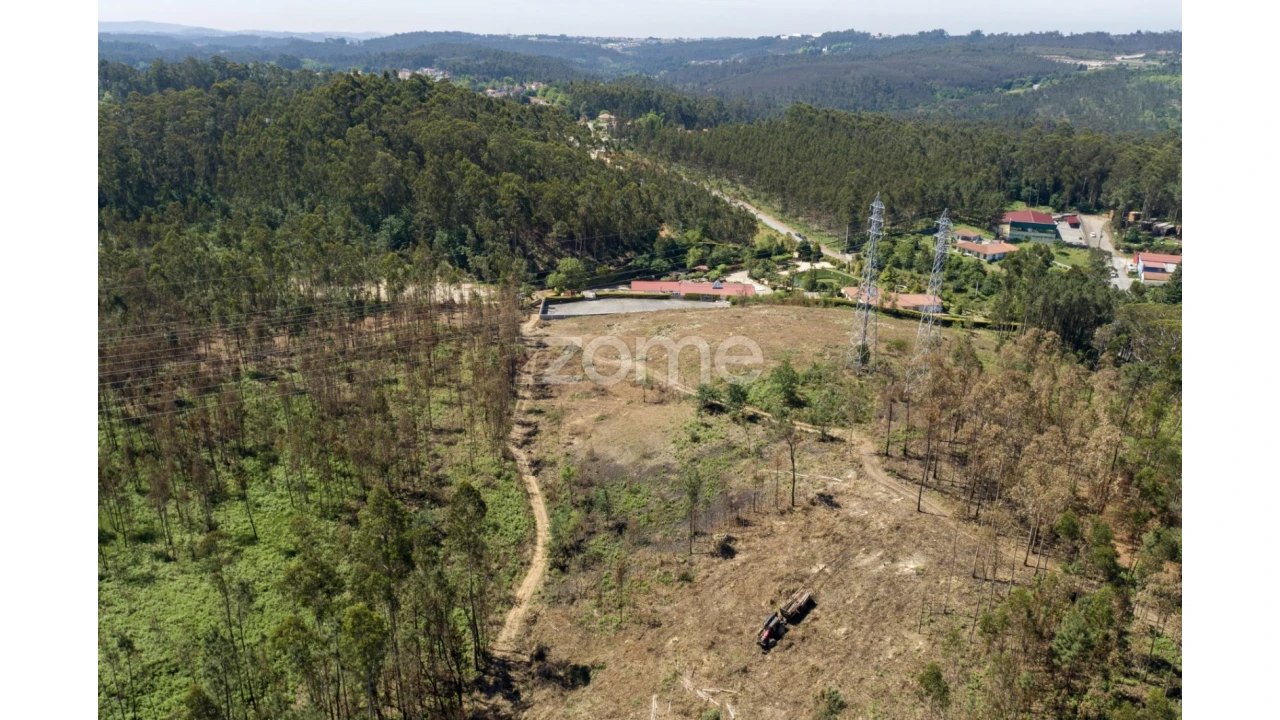 Terreno para Venda em Caldas de São Jorge e Pigeiros Foto 4