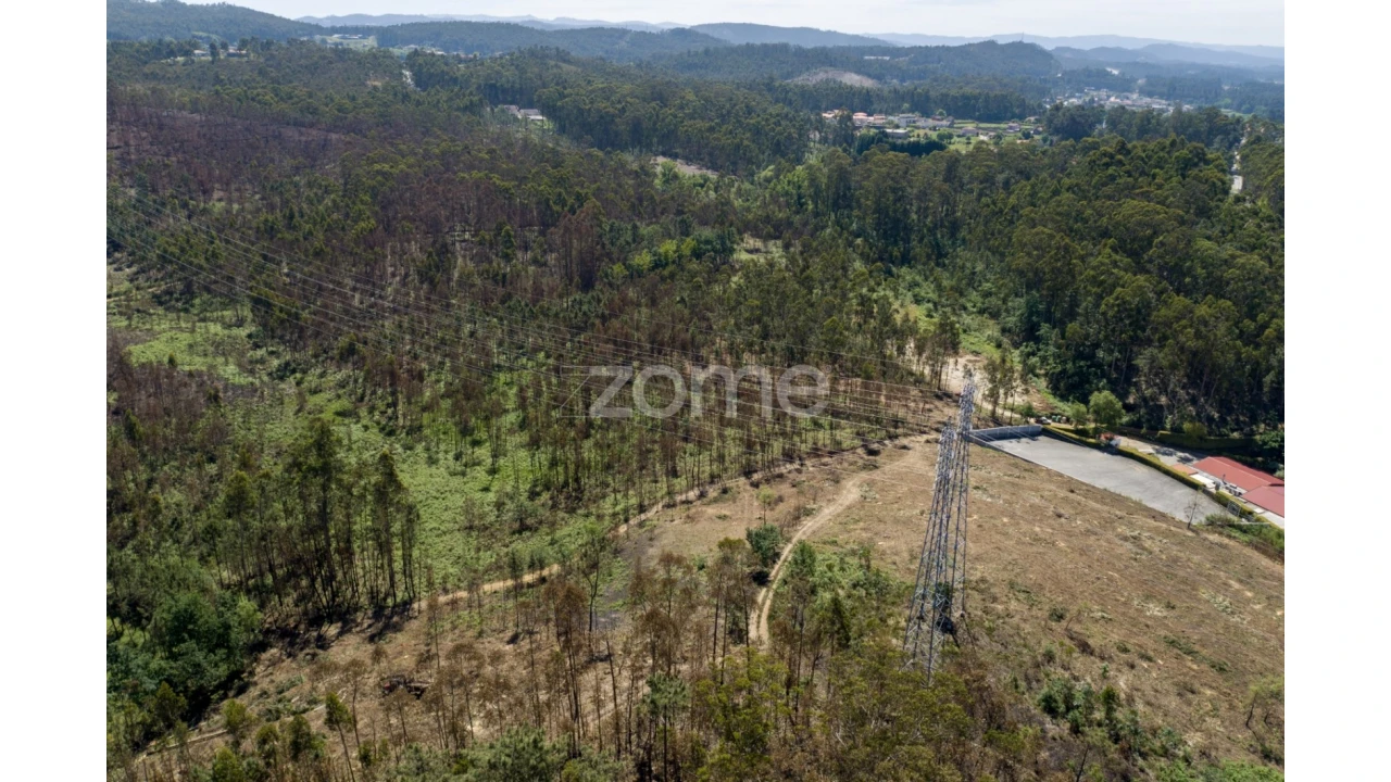 Terreno para Venda em Caldas de São Jorge e Pigeiros Foto 9