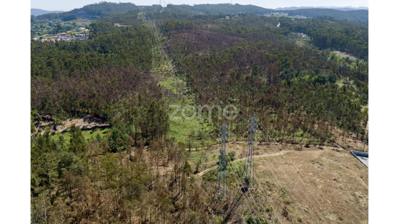 Terreno para Venda em Caldas de São Jorge e Pigeiros Foto 11