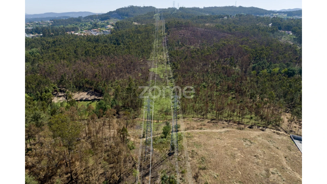 Terreno para Venda em Caldas de São Jorge e Pigeiros Foto 13