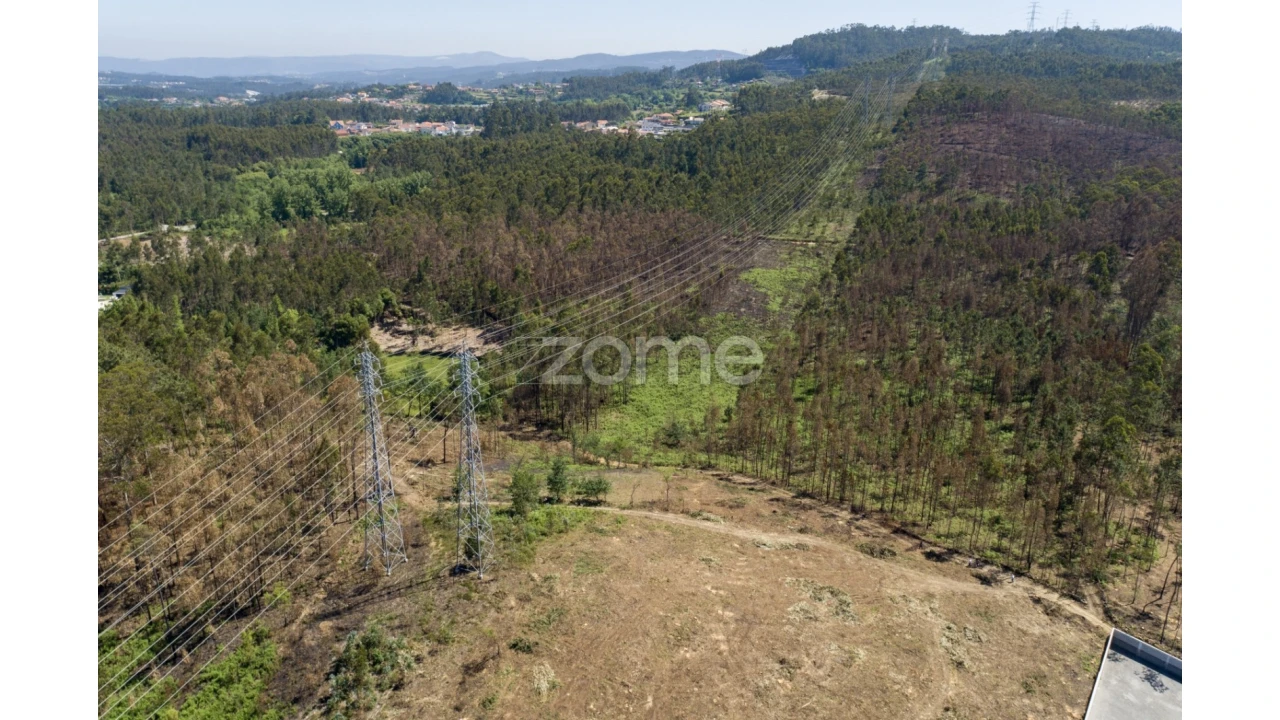 Terreno para Venda em Caldas de São Jorge e Pigeiros Foto 15