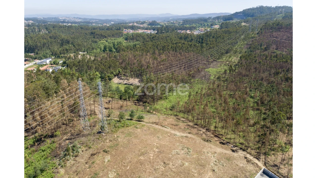 Terreno para Venda em Caldas de São Jorge e Pigeiros Foto 16