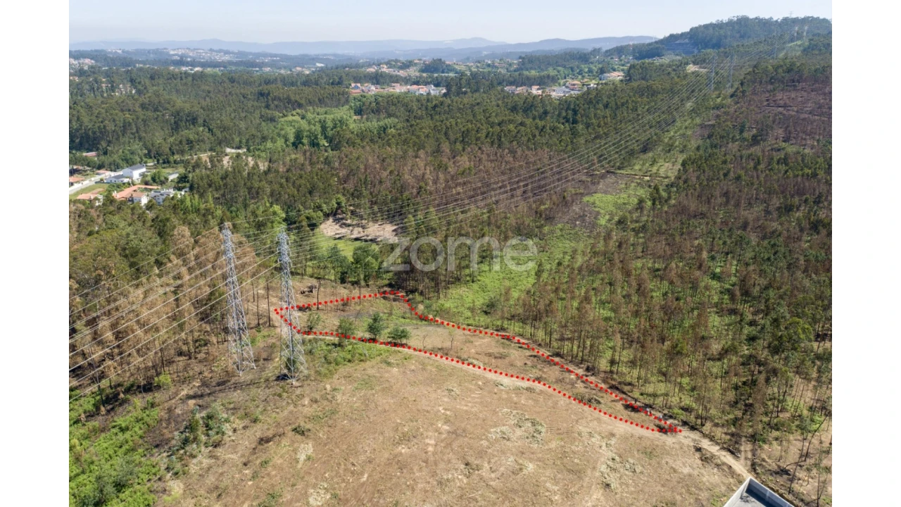 Terreno para Venda em Caldas de São Jorge e Pigeiros Foto 17