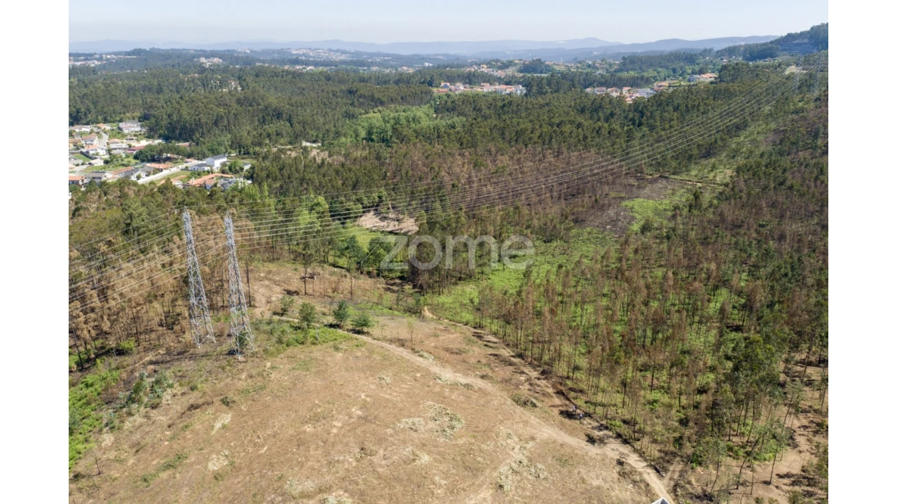 Terreno para Venda em Caldas de São Jorge e Pigeiros Foto 18