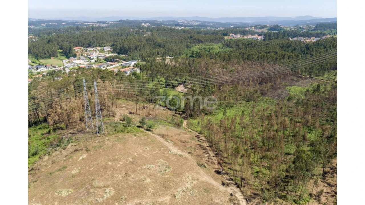 Terreno para Venda em Caldas de São Jorge e Pigeiros Foto 19