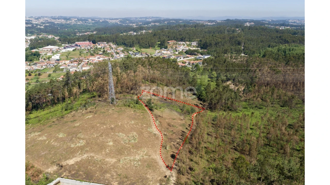 Terreno para Venda em Caldas de São Jorge e Pigeiros Foto 22