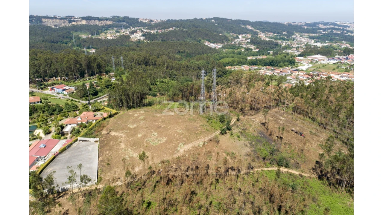 Terreno para Venda em Caldas de São Jorge e Pigeiros Foto 27