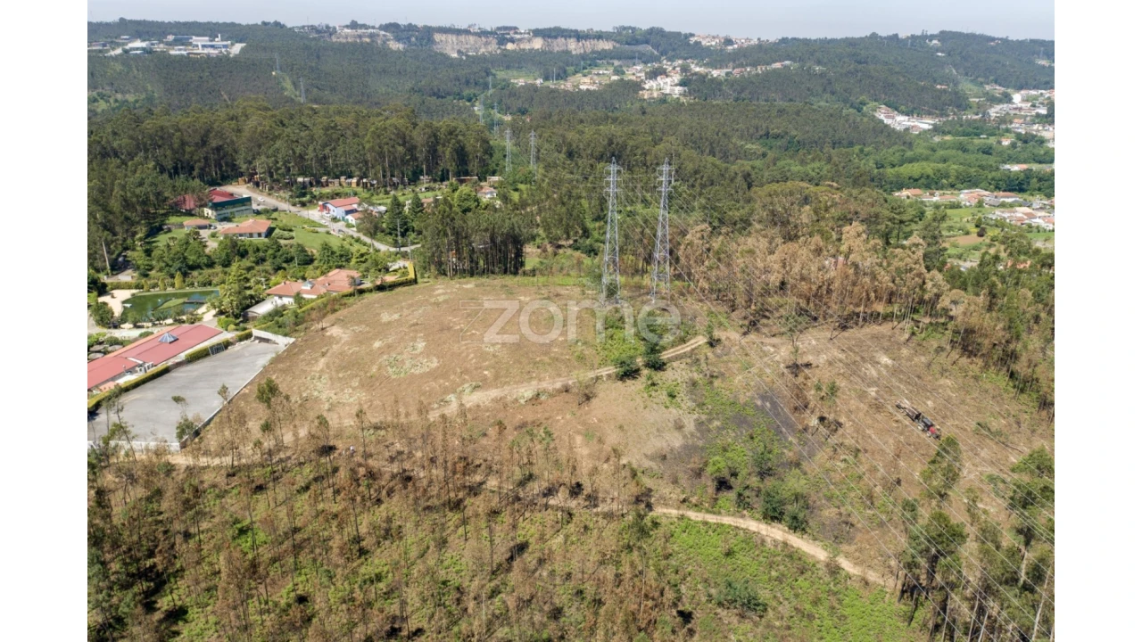 Terreno para Venda em Caldas de São Jorge e Pigeiros Foto 30