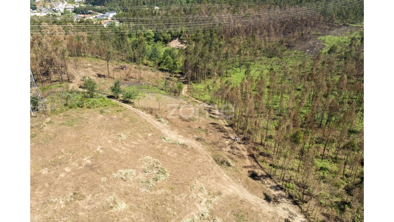 Terreno para Venda em Caldas de São Jorge e Pigeiros Foto 34