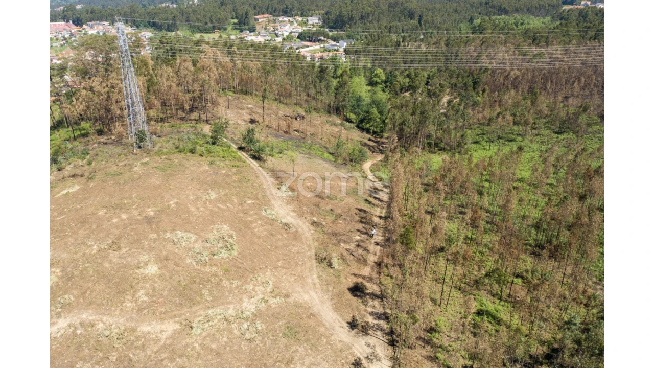 Terreno para Venda em Caldas de São Jorge e Pigeiros Foto 35