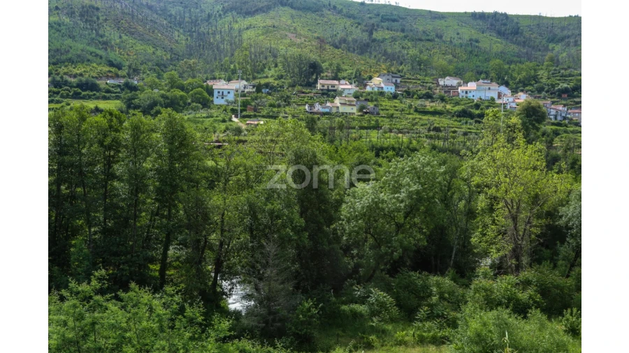 Terreno para Venda em Penalva de Alva e São Sebastião da Feira Foto 32