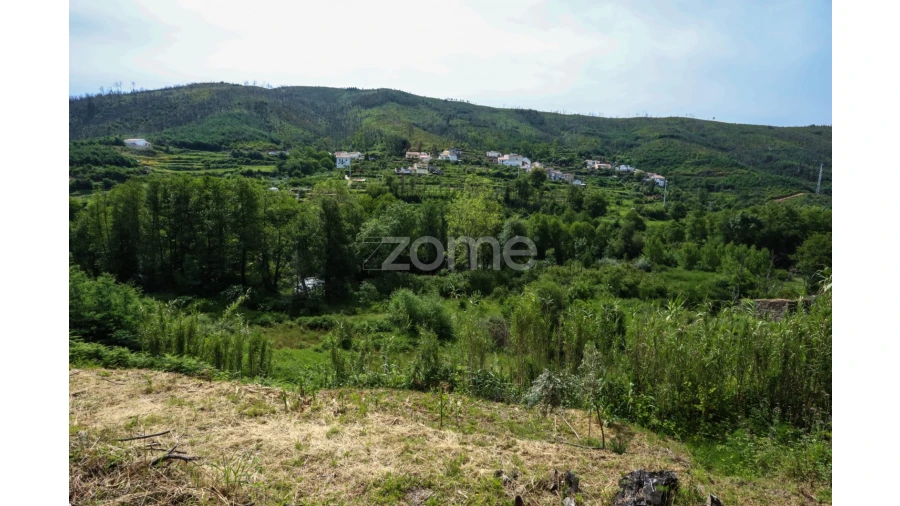 Terreno para Venda em Penalva de Alva e São Sebastião da Feira Foto 33