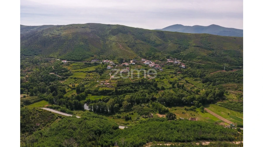 Terreno para Venda em Penalva de Alva e São Sebastião da Feira Foto 5