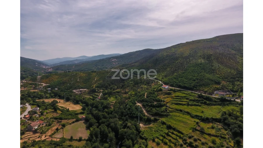 Terreno para Venda em Penalva de Alva e São Sebastião da Feira Foto 8