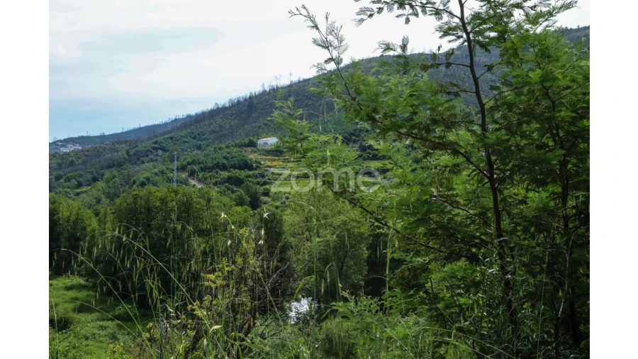 Terreno para Venda em Penalva de Alva e São Sebastião da Feira Foto 26