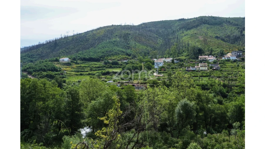 Terreno para Venda em Penalva de Alva e São Sebastião da Feira Foto 27
