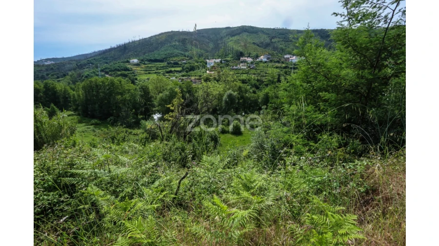Terreno para Venda em Penalva de Alva e São Sebastião da Feira Foto 28
