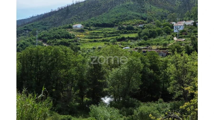 Terreno para Venda em Penalva de Alva e São Sebastião da Feira Foto 29