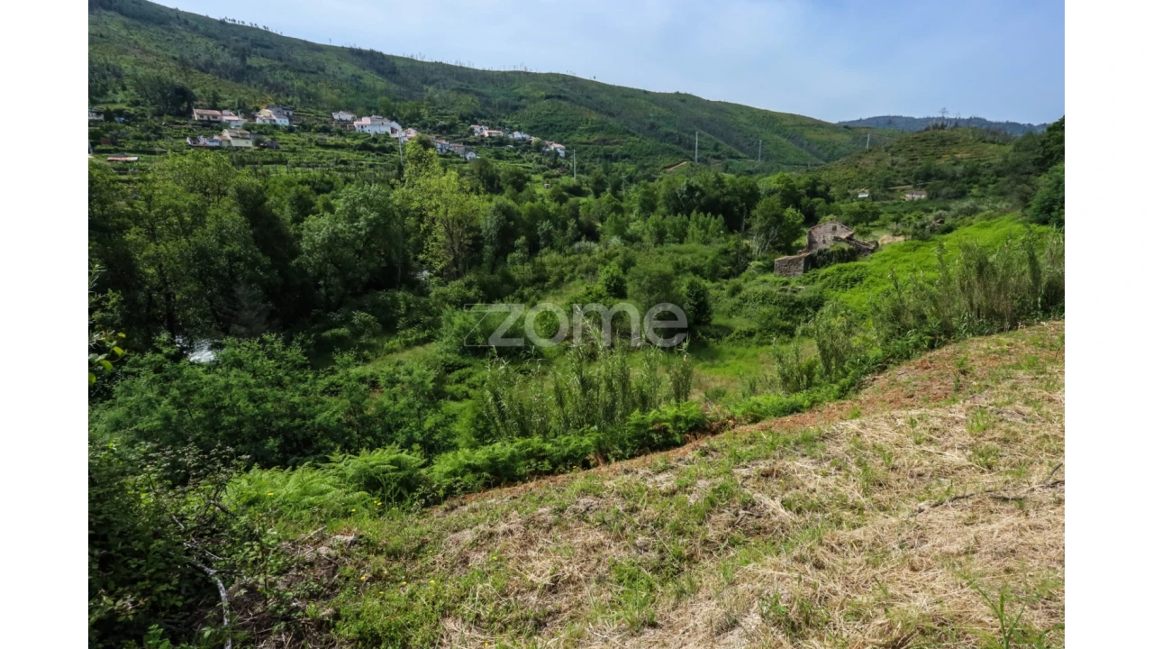 Terreno para Venda em Penalva de Alva e São Sebastião da Feira Foto 31