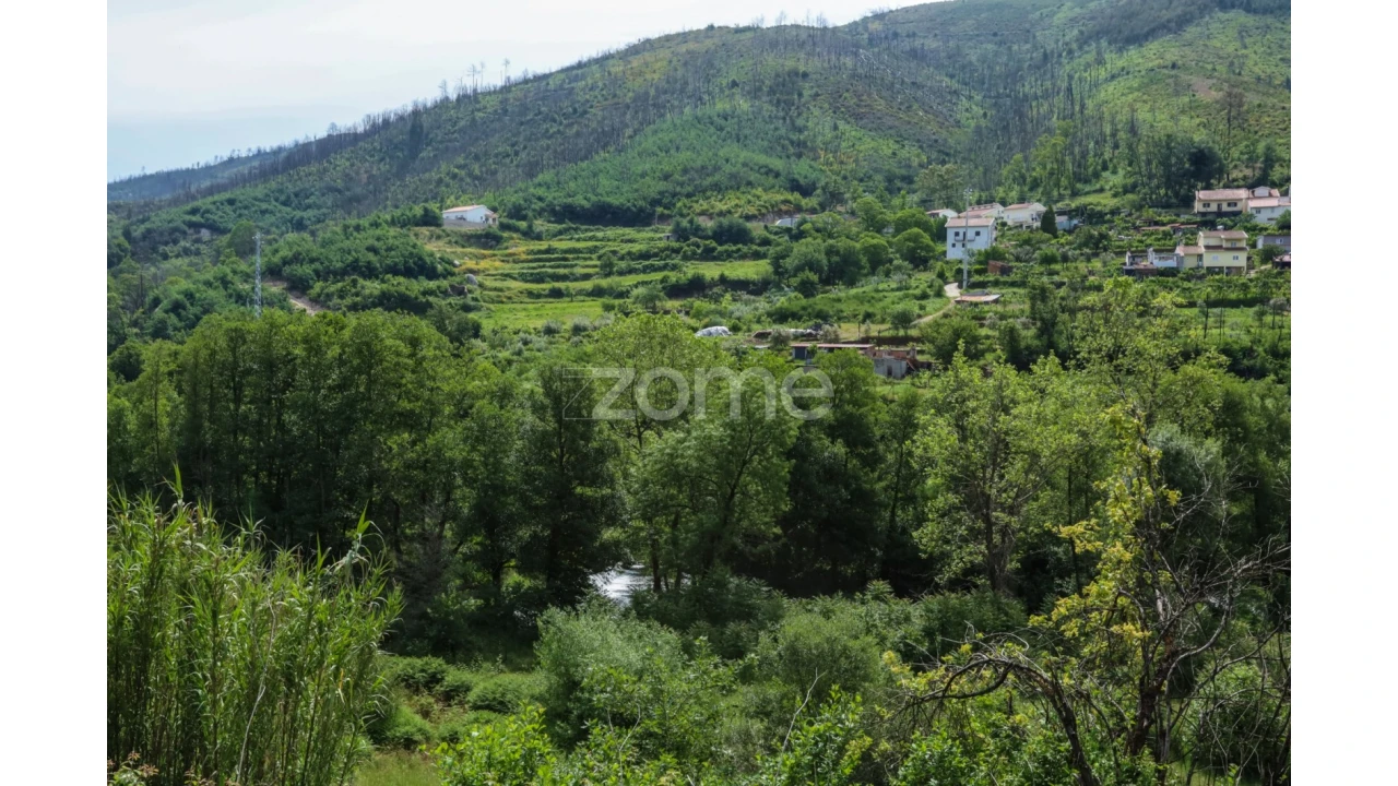 Terreno para Venda em Penalva de Alva e São Sebastião da Feira Foto 35