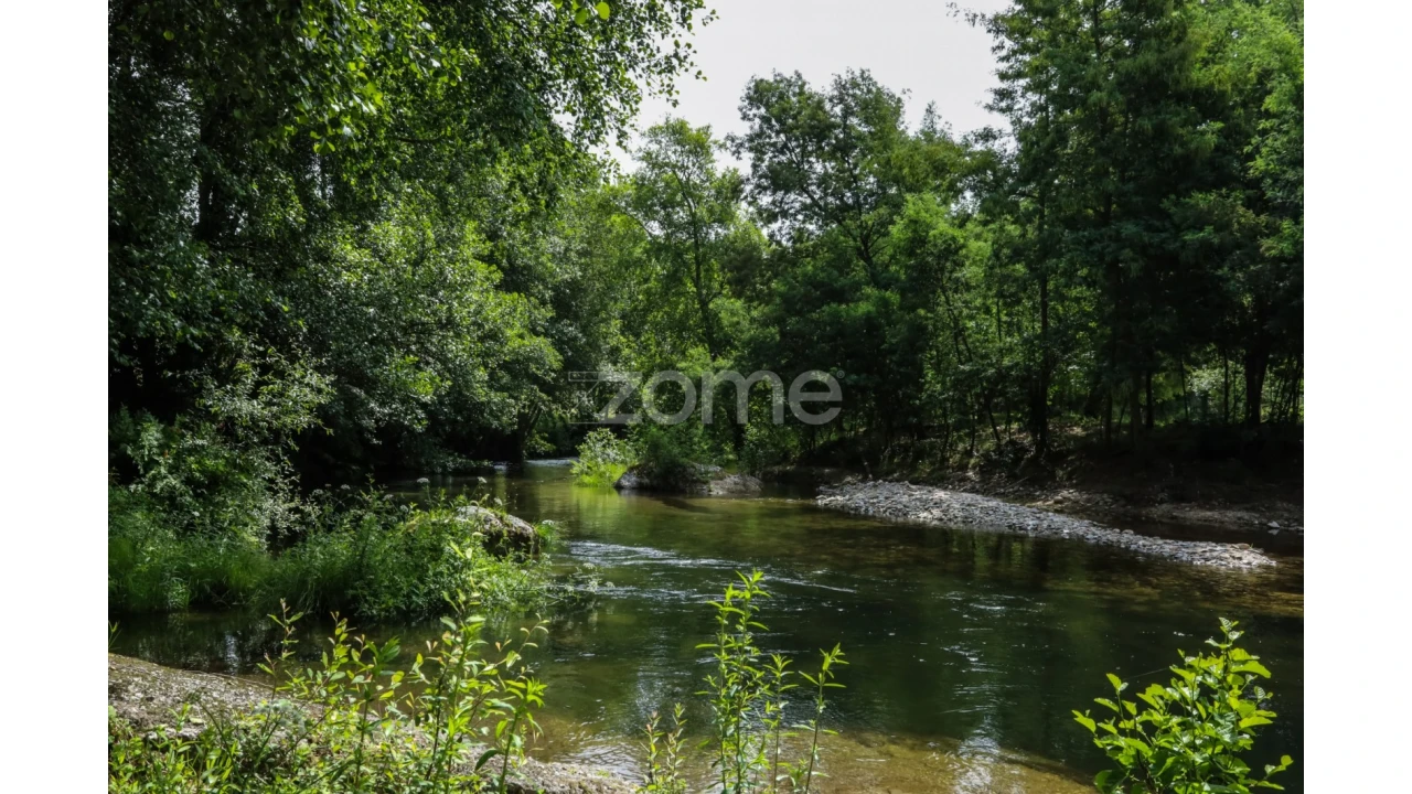 Terreno para Venda em Penalva de Alva e São Sebastião da Feira Foto 36
