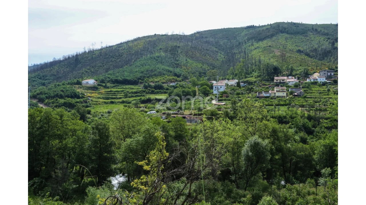 Terreno para Venda em Penalva de Alva e São Sebastião da Feira Foto 27
