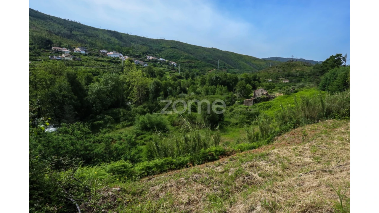 Terreno para Venda em Penalva de Alva e São Sebastião da Feira Foto 30