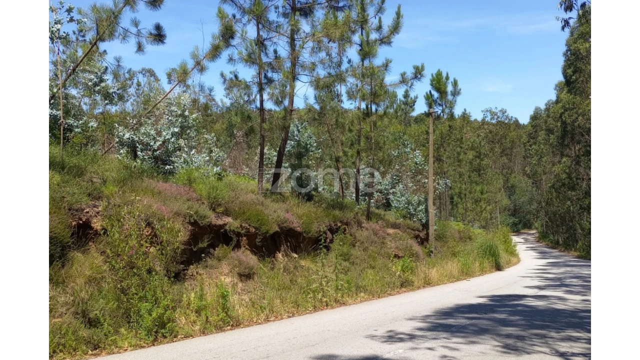 Terreno para Venda em Vilarinho das Cambas Foto 11