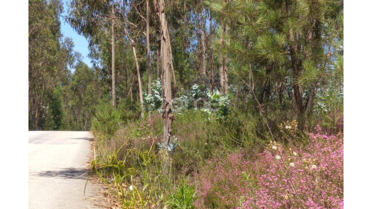 Terreno para Venda em Vilarinho das Cambas Foto 15