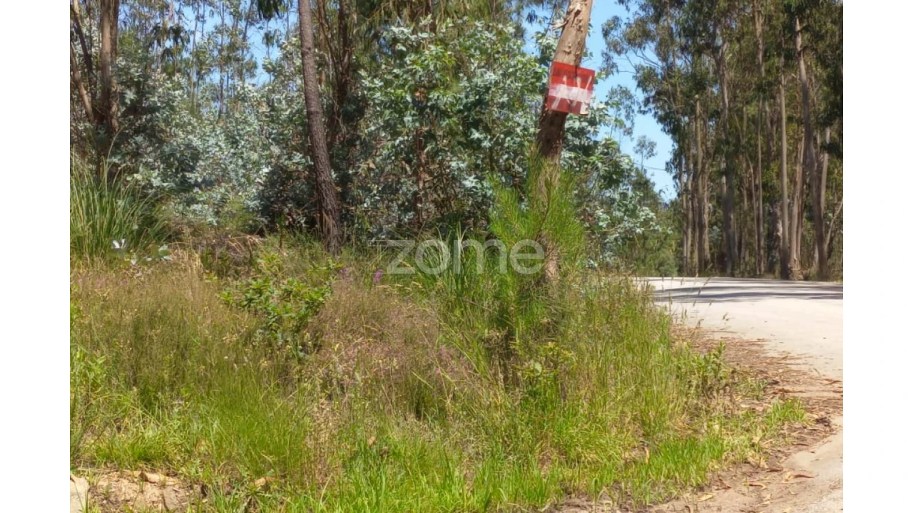 Terreno para Venda em Vilarinho das Cambas Foto 16