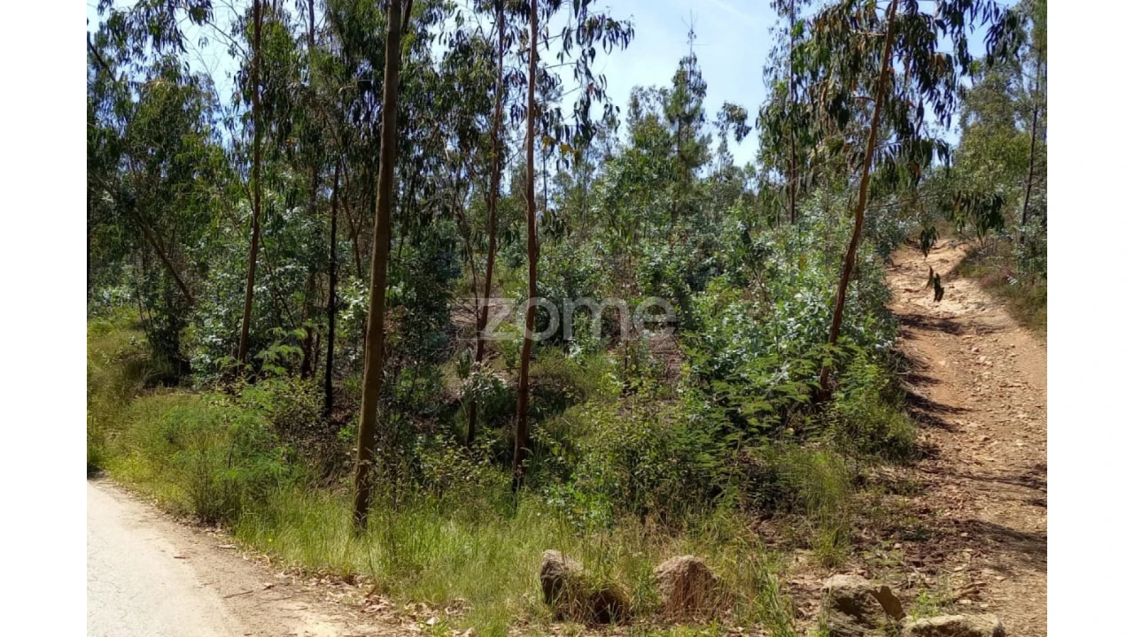 Terreno para Venda em Vilarinho das Cambas Foto 17